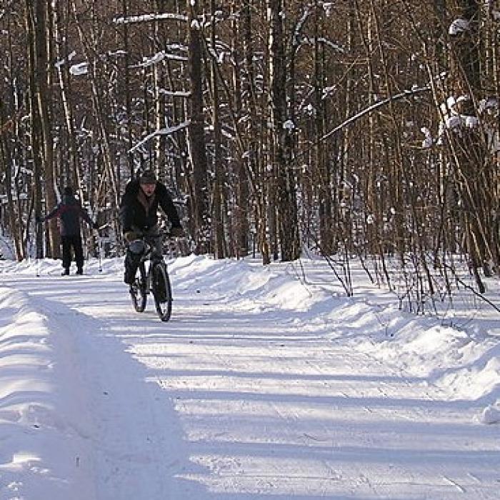 Faire Du Sport Par Temps Froid Quelles Pr Cautions