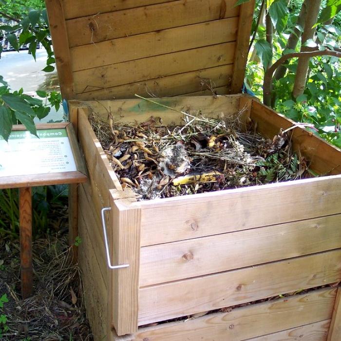 Réussir son compost : voici toutes les astuces des jardiniers