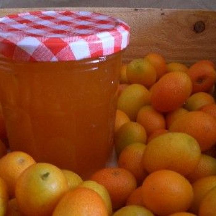 Haut 31 Imagen Confiture De Kumquat Marmiton Fr Thptnganamst Edu Vn