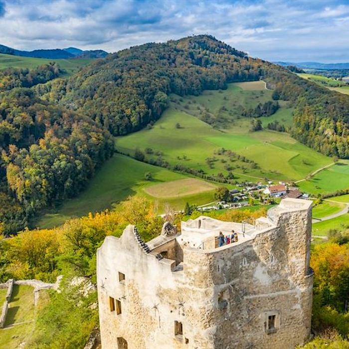 La Vallée Du Rhin Supérieur : Une Destination Au Cœur De L'Europe