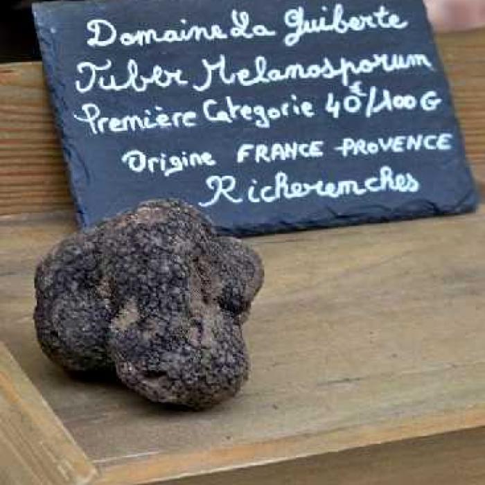 Truffes noires Tuber Melanosporum Richerenches