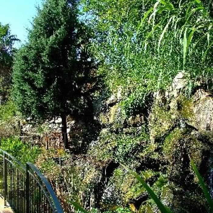Le Jardin Botanique de Nice : une visite dépaysante