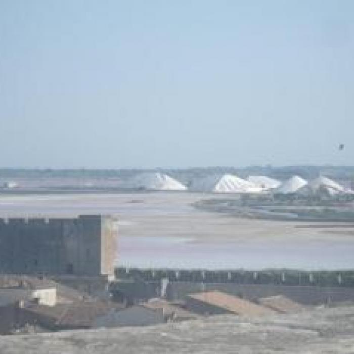 Les Salins du Midi plus de 150 ans de production de sel Les Salins du Midi plus de 150 ans de production de sel